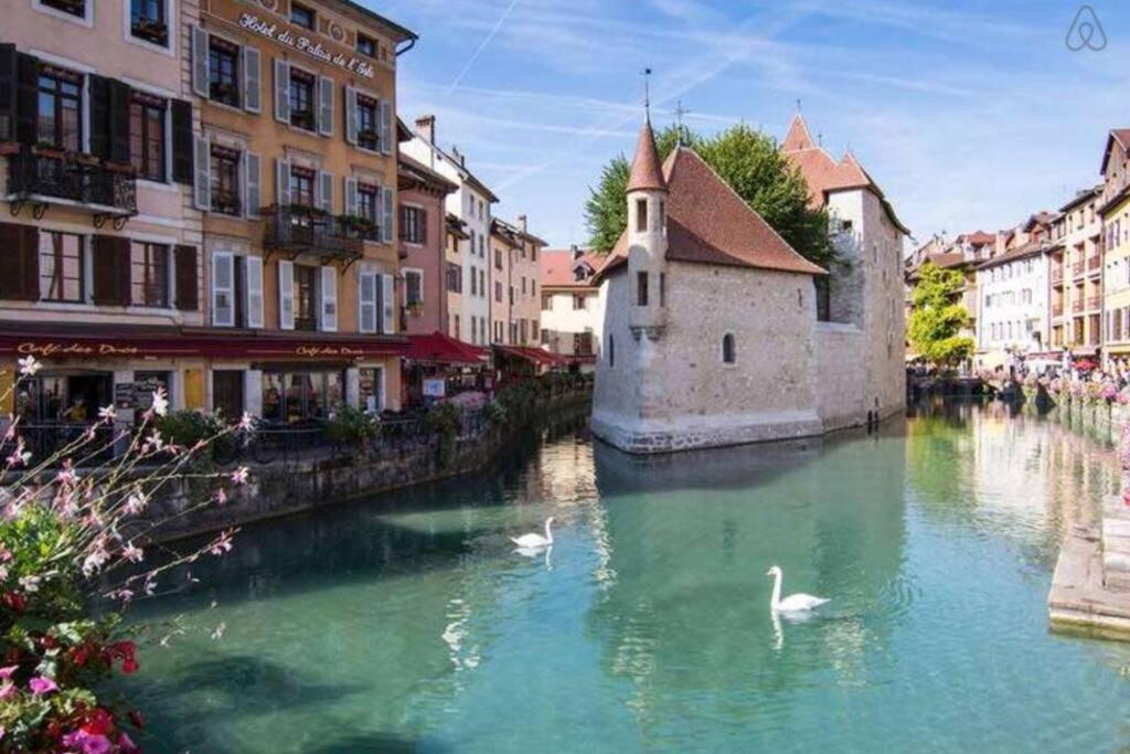 Appartement La Pepite D'annecy - Hyper Centre&au Calme&balcon Annecy